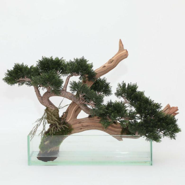 Artificial Creeping Cedar Bonsai in Glass Pot