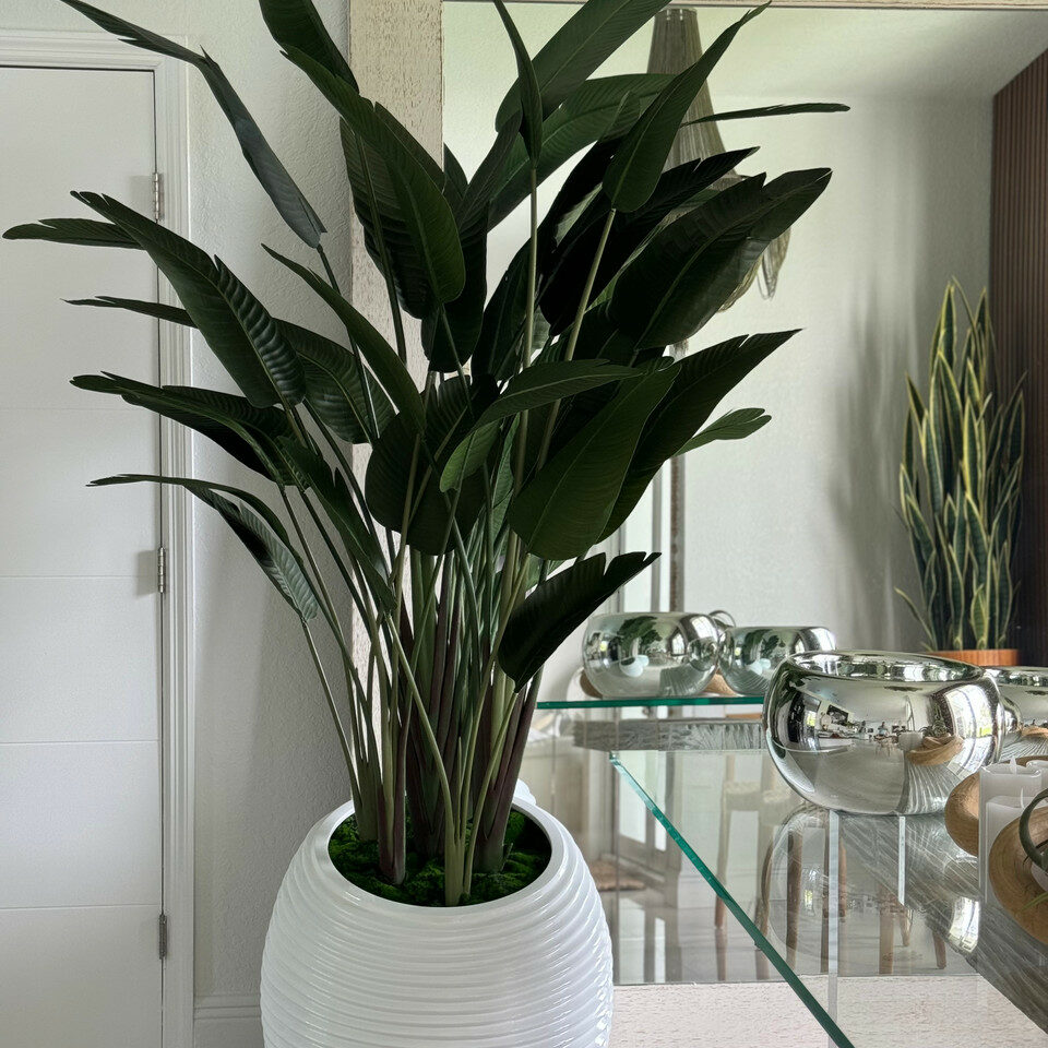 Bird of paradise in white spiral vase