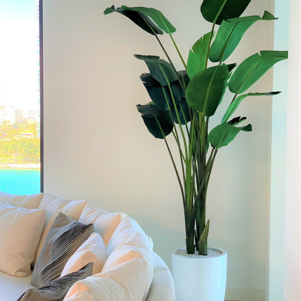 9ft Bird of Paradise with Ben Planter in Bright White
