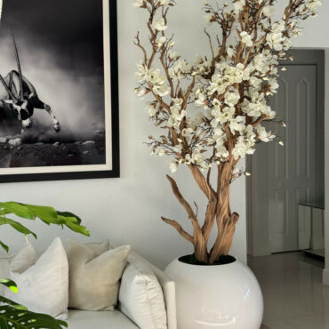 White Magnolia Tree in Glossy White Globe Pot 30″