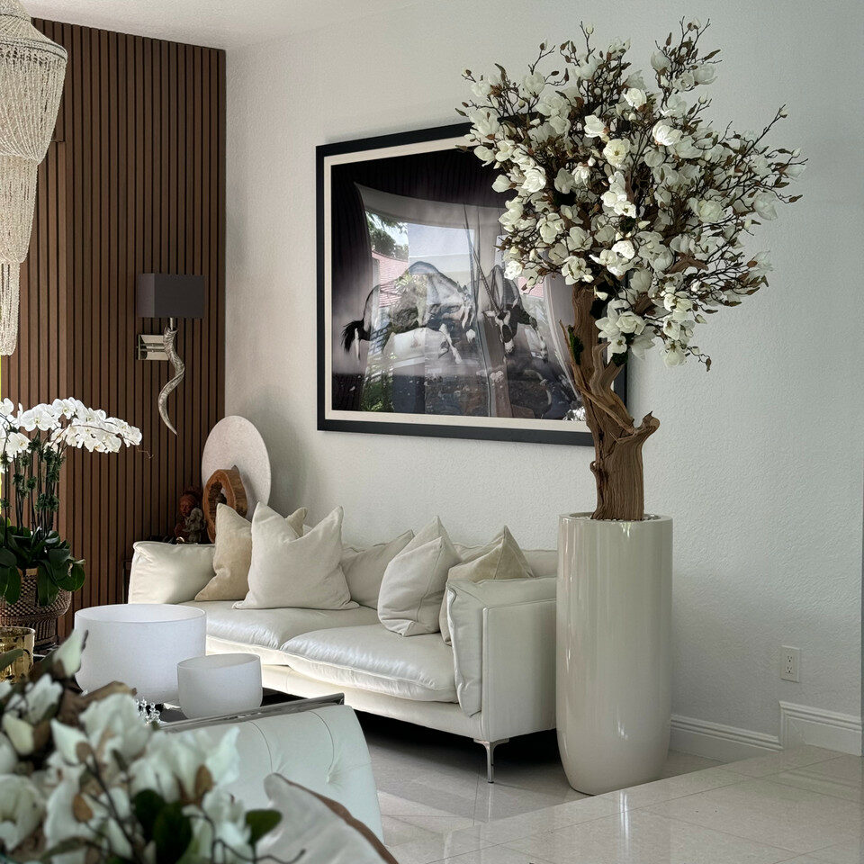 White magnolia tree in glossy beige St. Tropez pot