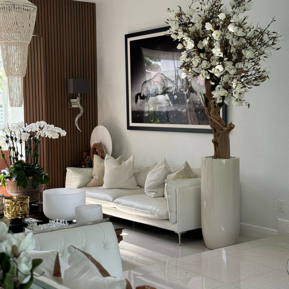White magnolia tree in glossy beige St. Tropez pot