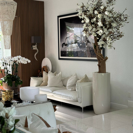 White magnolia tree in glossy beige St. Tropez pot