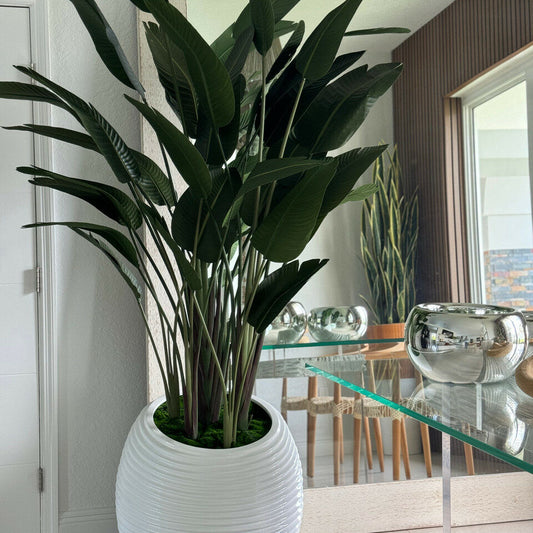 Bird of paradise in white spiral vase