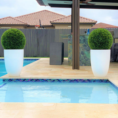 Ben L 20" Fiberglass Topiary