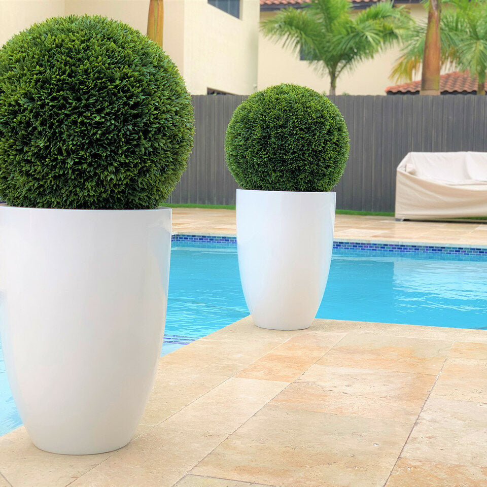 Ben L 20" Fiberglass Topiary