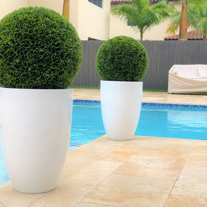 Ben L 20" Fiberglass Topiary