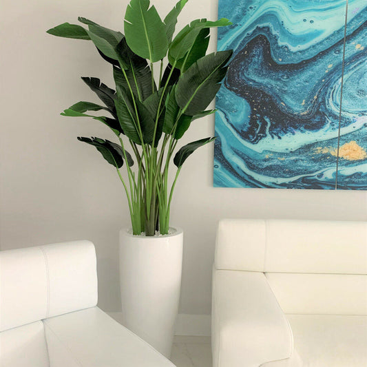 7-foot Bird of Paradise with Dax L pot