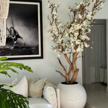 White Magnolia Tree in Glossy White Globe Pot 30″