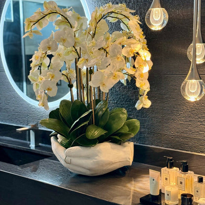 White Phalaenopsis orchids in a vase, open hands sculpture